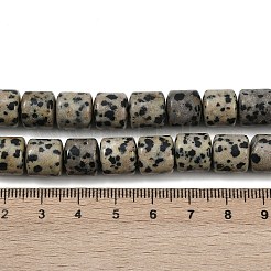 Natural Dalmatian Jasper Beads Strands&nbsp;G-G275-D18-10x10mm