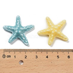 Opaque Resin Decoden Ccabochons&nbsp;CRES-I043-01