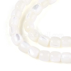 Natural Trochid Shell/Trochus Shell Beads Strands&nbsp;SSHEL-N040-08