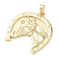 Brass Pendants&nbsp;KK-D289-27B-G
