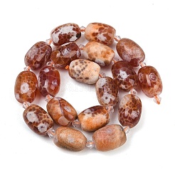 Natural Fire Crackle Agate Beads Strands&nbsp;G-K393-G05-13x18