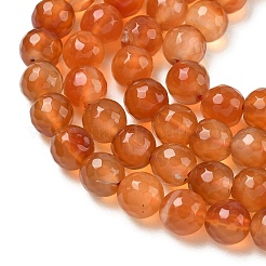 Dyed & Heated Natural Agate Beads Strands&nbsp;G-P539-D01-10