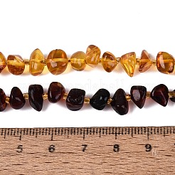 Gradient Color Natural Amber Beads Strands&nbsp;G-N371-11A-01