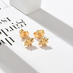 304 Stainless Steel Stud Earrings for Women&nbsp;STAS-Z117-17G-01