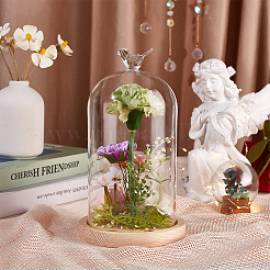 Glass Dome Cover&nbsp;DIY-WH0504-317C