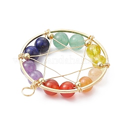 Gemstone Copper Wire Wrapped Pendants&nbsp;PALLOY-JF02304-01