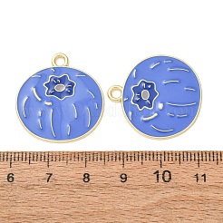 Alloy Enamel Pendants&nbsp;AL-CBA1DF6-02L