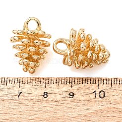 Alloy Pendants&nbsp;FIND-I066-04G-01