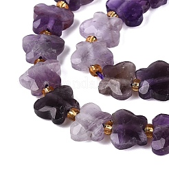 Natural Amethyst Beads Strands&nbsp;G-N371-10A-04