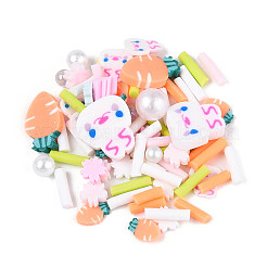 Handmade Polymer Clay Cabochons&nbsp;CLAY-N013-19
