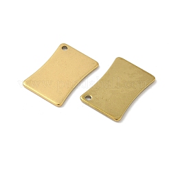 304 Stainless Steel Pendants&nbsp;STAS-A057-02G