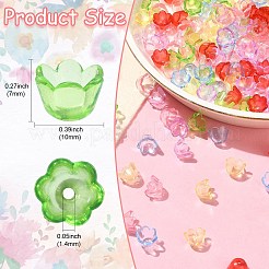 Transparent Acrylic Bead Caps&nbsp;MACR-CJC0006-01