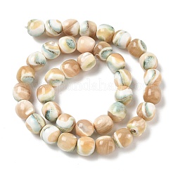Natural Seashell Shell Beads Strands&nbsp;SH-CBAFEDD-01B