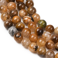 Natural Tiger Quartz Beads Strands&nbsp;GG-NH0013-A01-8mm