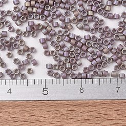MIYUKI Delica Beads&nbsp;SEED-JP0008-DB2321