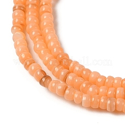 Natural Freshwater Shell Beads Strands&nbsp;SHEL-P017-01B-05