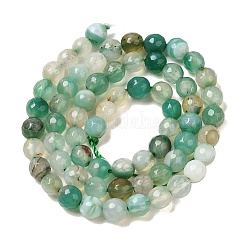 Natural Agate(Dyed & Heated) Beads Strands&nbsp;G-H066-B03-01