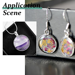 20Pcs Transparent Glass Cabochons&nbsp;GGLA-FH0001-05