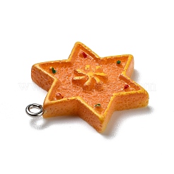 Opaque Resin Pendants&nbsp;RESI-D055-133P