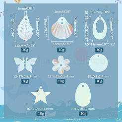 80G 8 Style Star/Leaf/Butterfly Rainbow Iridescent PVC Paillette/Sequins Beads & Links & Pendants&nbsp;PVC-PH0001-30