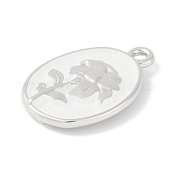 Rack Plating Spray Painted Alloy Pendants&nbsp;PALLOY-F018-14P-02