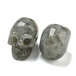 Halloween Natural Labradorite Skull Figurines&nbsp;DJEW-L021-01F