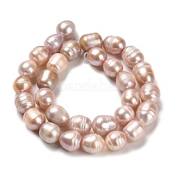 Natural Cultured Freshwater Pearl Beads Strands&nbsp;PEAR-E016-107