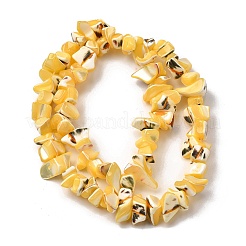 Natural Trochid Shell/Trochus Shell Beads Strands&nbsp;SHEL-B003-02H