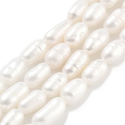 Natural Cultured Freshwater Pearl Beads Strands&nbsp;PEAR-P062-01E
