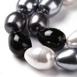 Shell Pearl Bead Strands&nbsp;BSHE-L034-04C