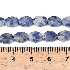Natural Blue Spot Jasper Beads Strands&nbsp;G-H349-A01-06