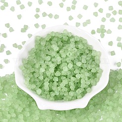 FGB Frosted Transparent Glass Seed Beads&nbsp;SEED-N013-03A-08