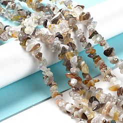 Natural Botswana Agate Beads Strands&nbsp;LS-G-E607-A10