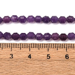 Natural Lepidolite/Purple Mica Stone Beads Strands&nbsp;G-A260-A04-01