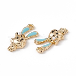 Alloy Enamel Pendants&nbsp;ENAM-K066-07A