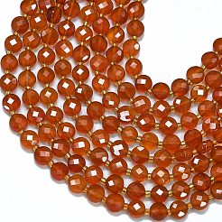 Natural Carnelian Beads Strands&nbsp;G-K389-B19-01