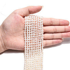 Natural Cultured Freshwater Pearl Beads Strands&nbsp;PEAR-N024-03-4AB