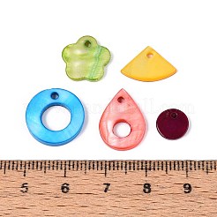 Dyed Natural Freshwater Shell Pendants and Links Kits&nbsp;SHEL-T020-57