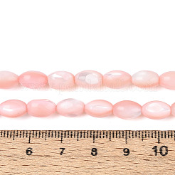Natural Trochus Shell Beads Strands&nbsp;SHEL-K006-19-01F