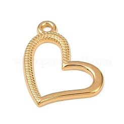 304 Stainless Steel Pendants&nbsp;STAS-B092-15G