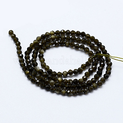 Natural Golden Sheen Obsidian Beads Strands&nbsp;X-G-J369-16-3mm
