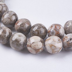 Natural Maifanite/Maifan Stone Beads Strands&nbsp;G-I187-6mm-01