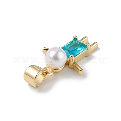 Rack Plating Brass Cubic Zirconia Pendants&nbsp;KK-F848-06G