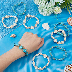 8Pcs 2 Colors Dyed Synthetic Turquoise Tortoise Beaded Stretch Bracelets Set for Women&nbsp;BJEW-DC0001-04