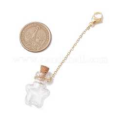 Empty Glass Wishing Bottle Pendant Decorations&nbsp;HJEW-JM02662-01