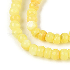 Natural Freshwater Shell Dyed Beads Strands&nbsp;SHEL-T020-29A-09
