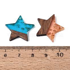 18Pcs 9 Styles Transparent & Opaque Resin & Walnut Wood Pendants&nbsp;RESI-N053-16