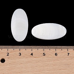 Natural Freshwater Shell Cabochons&nbsp;BSHE-G036-10B