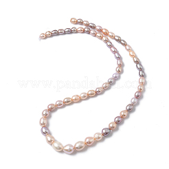 Natural Cultured Freshwater Pearl Beads Strands&nbsp;PEAR-C004-16