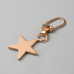 Alloy Zipper Puller&nbsp;FIND-TAC0011-84KCG